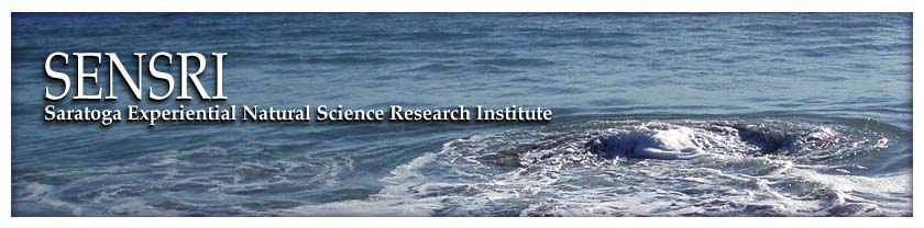 Saratoga Experiential Natural Science Research Institute